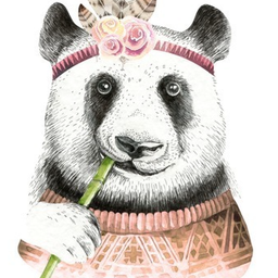crypto.panda