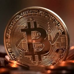 cryptohype2020