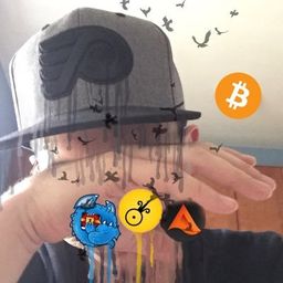 curtshilling