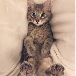 cuteanimalphoto