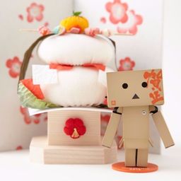 danboard