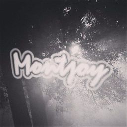 davemontjoy