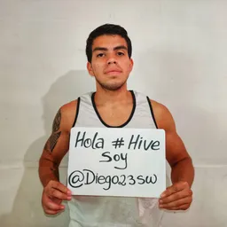 diegov23sw