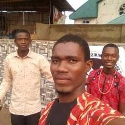 dimcollins