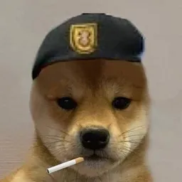 dog3zz