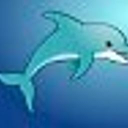 dolphin-power9