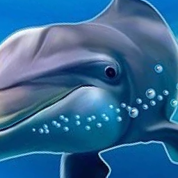 dolphinauthority
