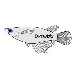 drewbixcube