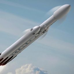e1onmusk