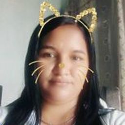 elen829