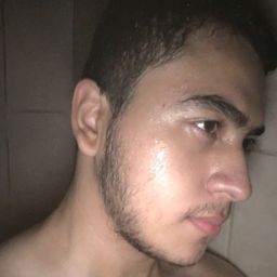 elpinguino1999