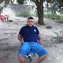 eltigre756