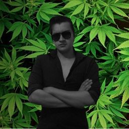elwaldo420