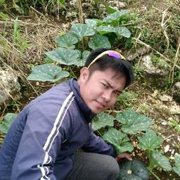 eusebio.bilar