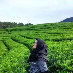 exyjunisty