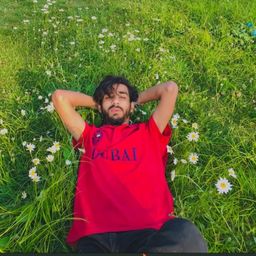 f1sheikh