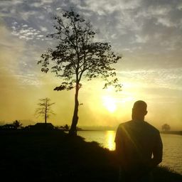 faisywishuwell
