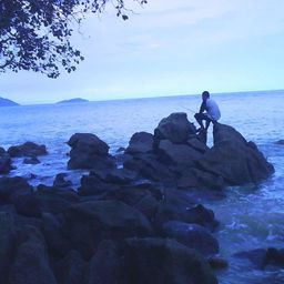 faizal