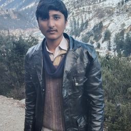 faizanaliniazi