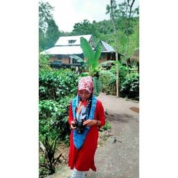 fauzani