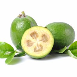 feijoa
