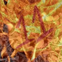 firebone11