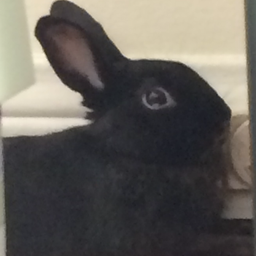 flufink