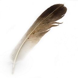 fluma