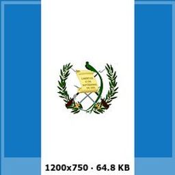 franciscogt