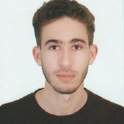 franzbonaparta