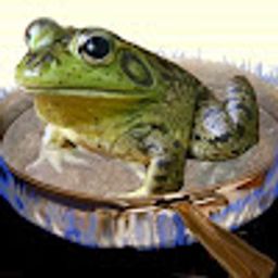 froggyzombie