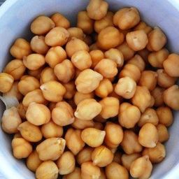 garbanz