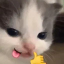 gatrixd