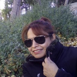 giselacastro
