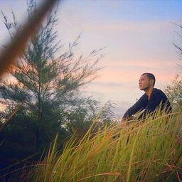 greenlight
