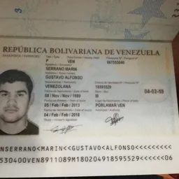 gualsema