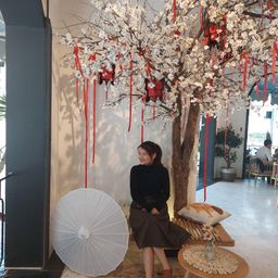 halinhdecor