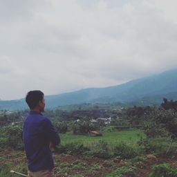 halunik