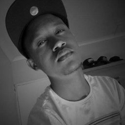 harveysteele