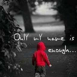 haseebdawood