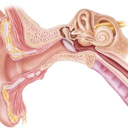 havanasyndrome