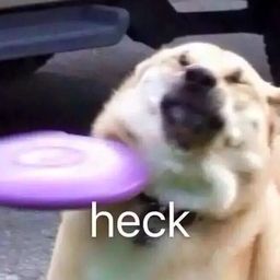 heck