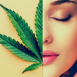 hemp-canada