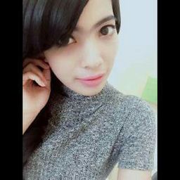 hgareas