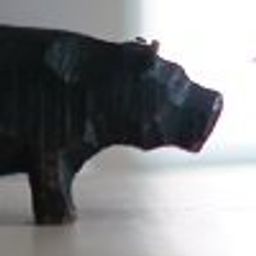 hippo-matsumoto