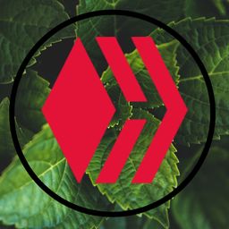 hive-107082