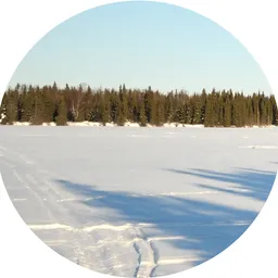 hive-185849