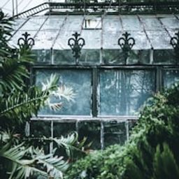 hortulan