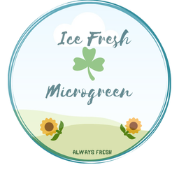 icefresh0254