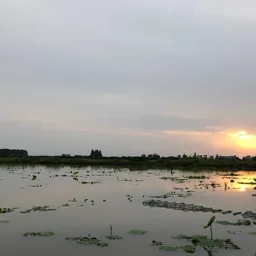 iguozi